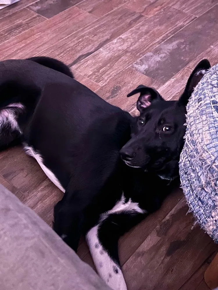 Luna Harlow thumbnail 3