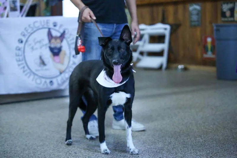 Luna Harlow thumbnail 4