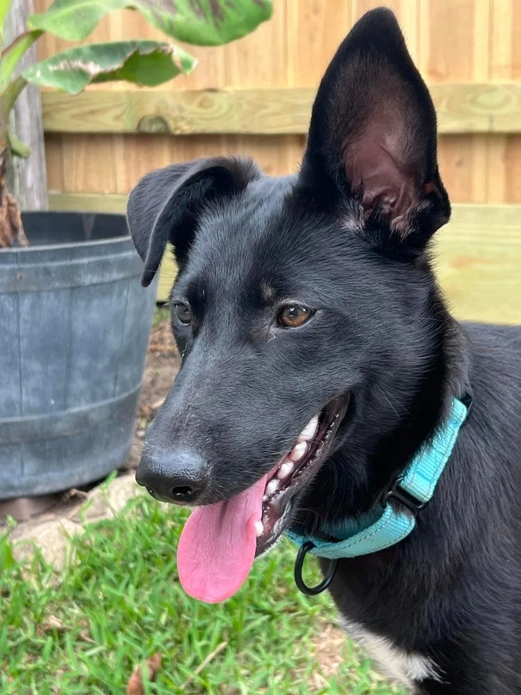 Luna Harlow thumbnail 5