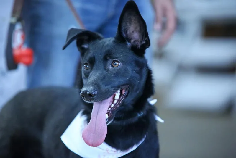 Luna Harlow thumbnail 6