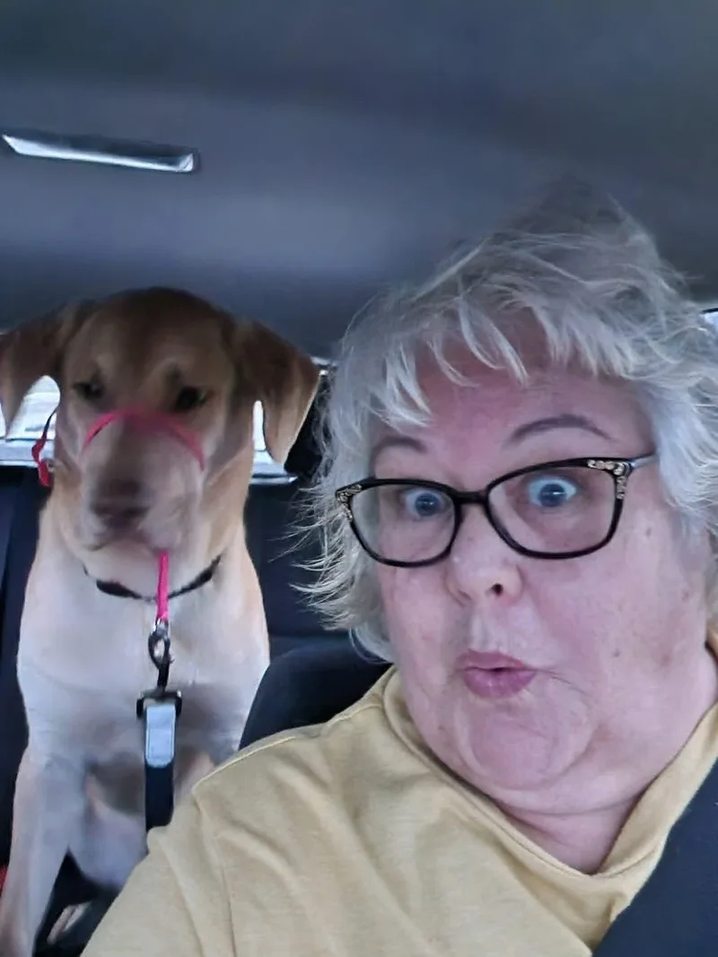 Cooper thumbnail 3