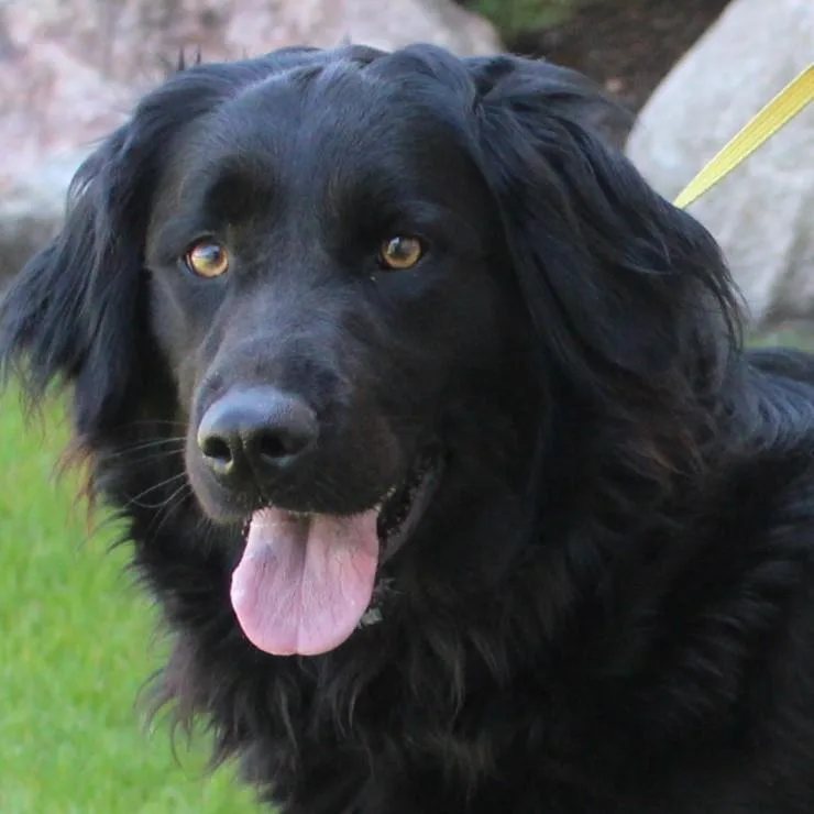 Bailey thumbnail 2