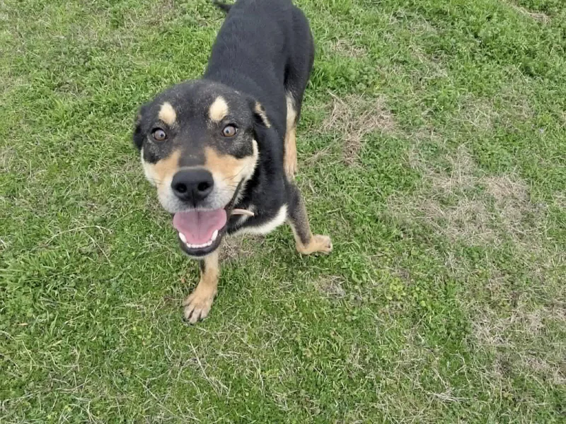 Gabby thumbnail 2