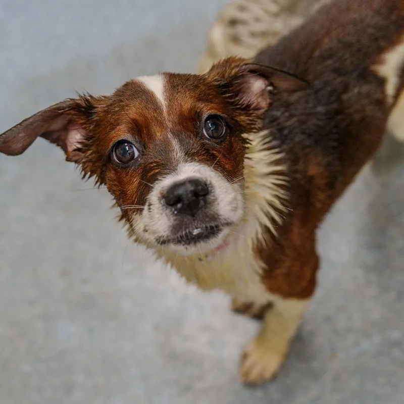 Latavia Roberson thumbnail 2