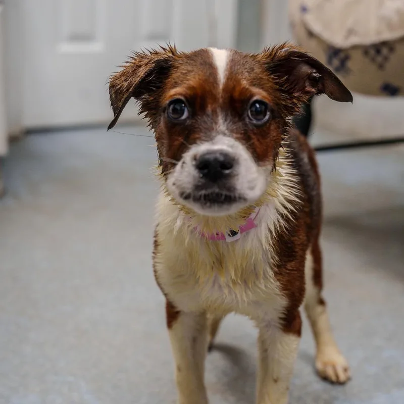 Latavia Roberson thumbnail 4