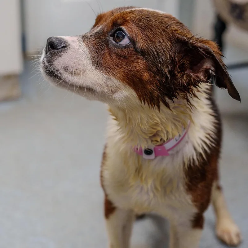 Latavia Roberson thumbnail 6