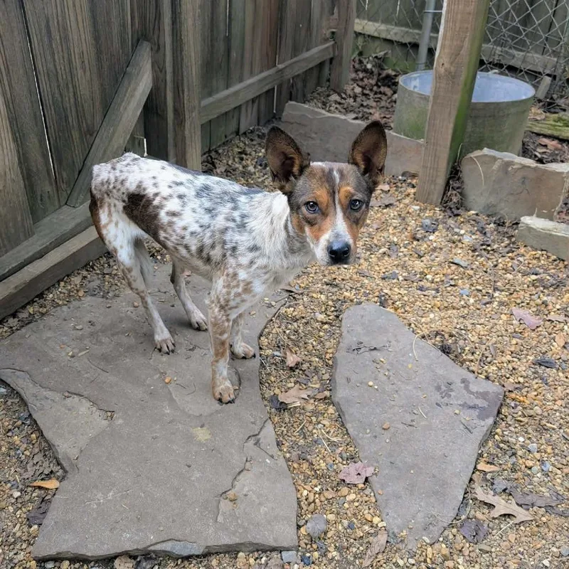 Charlotte thumbnail 2