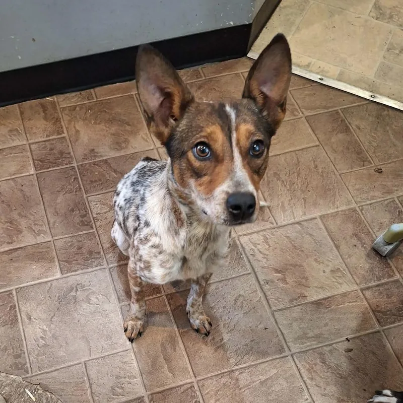 Charlotte thumbnail 3