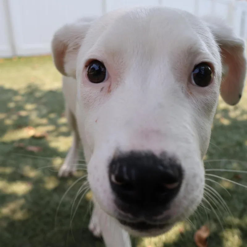 Casper thumbnail 2