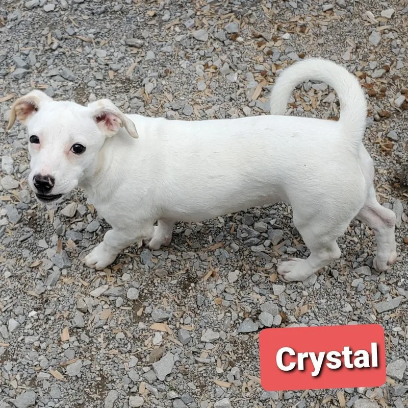 Crystal thumbnail 3