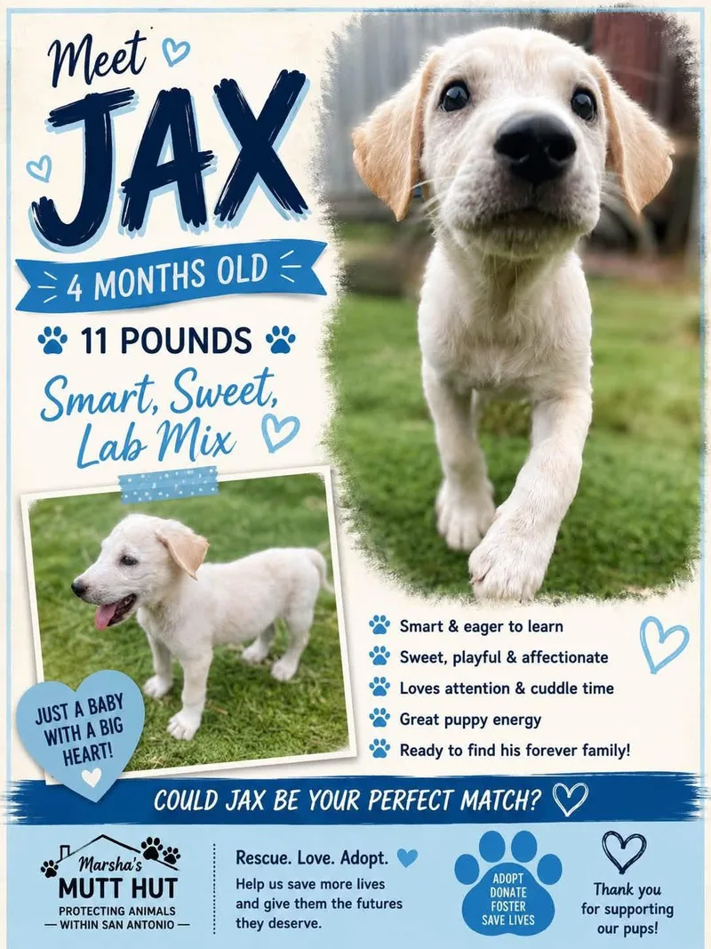 Jax thumbnail 4