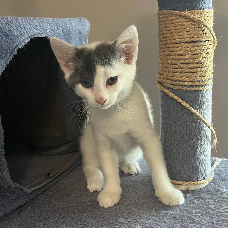 Maisy thumbnail 3
