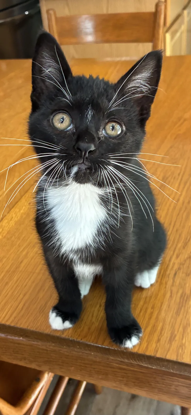 Pepper thumbnail 3