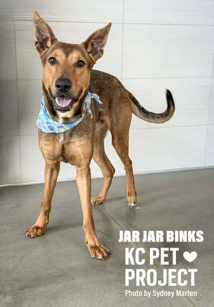 Jar Jar Binks thumbnail 3