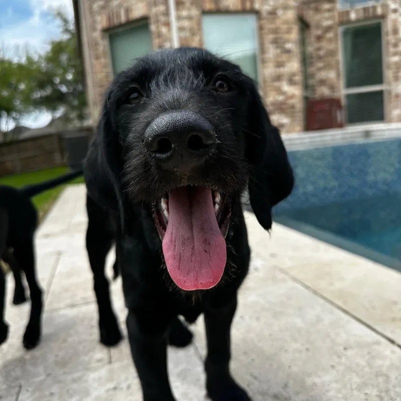 Maverick thumbnail 3