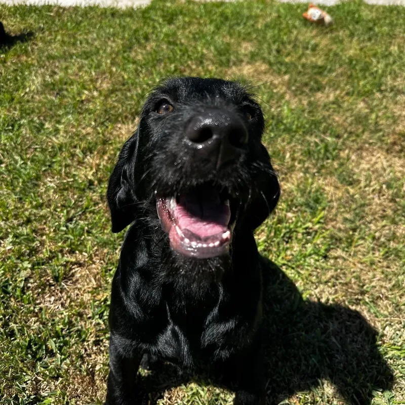 Maverick thumbnail 5