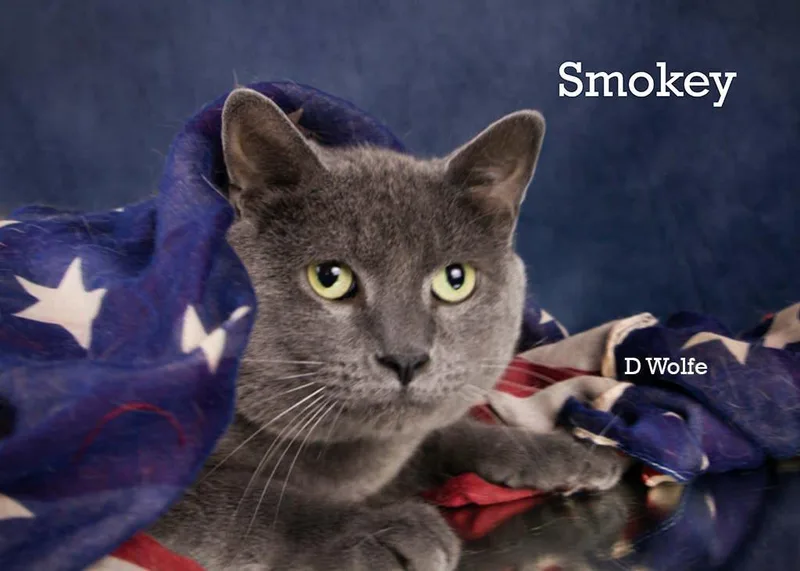Smokey thumbnail 2