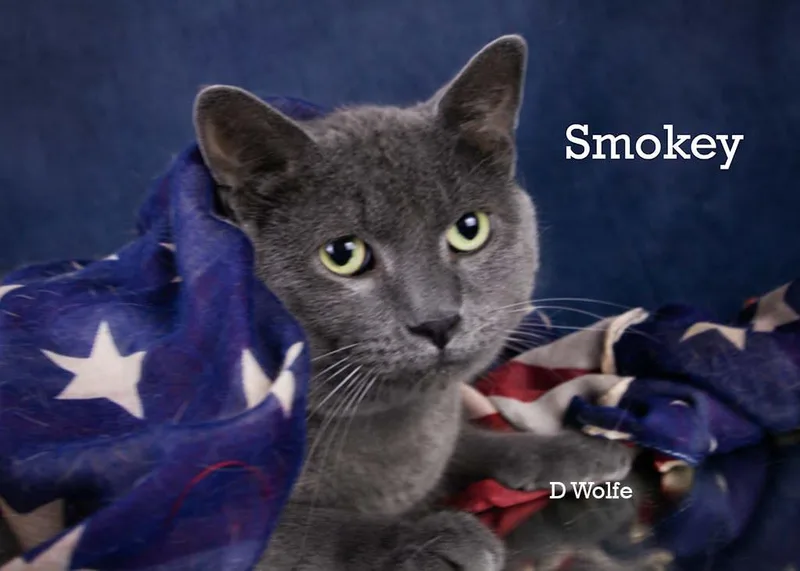 Smokey thumbnail 3