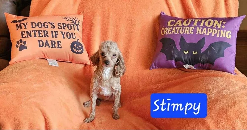 Stimpy thumbnail 2