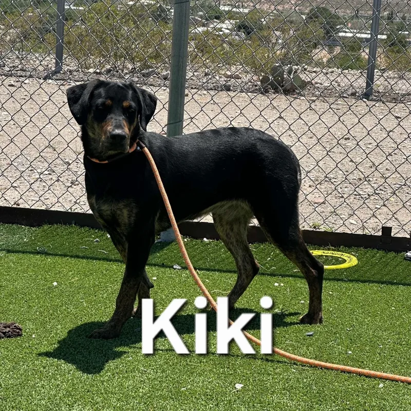 Kiki thumbnail 2