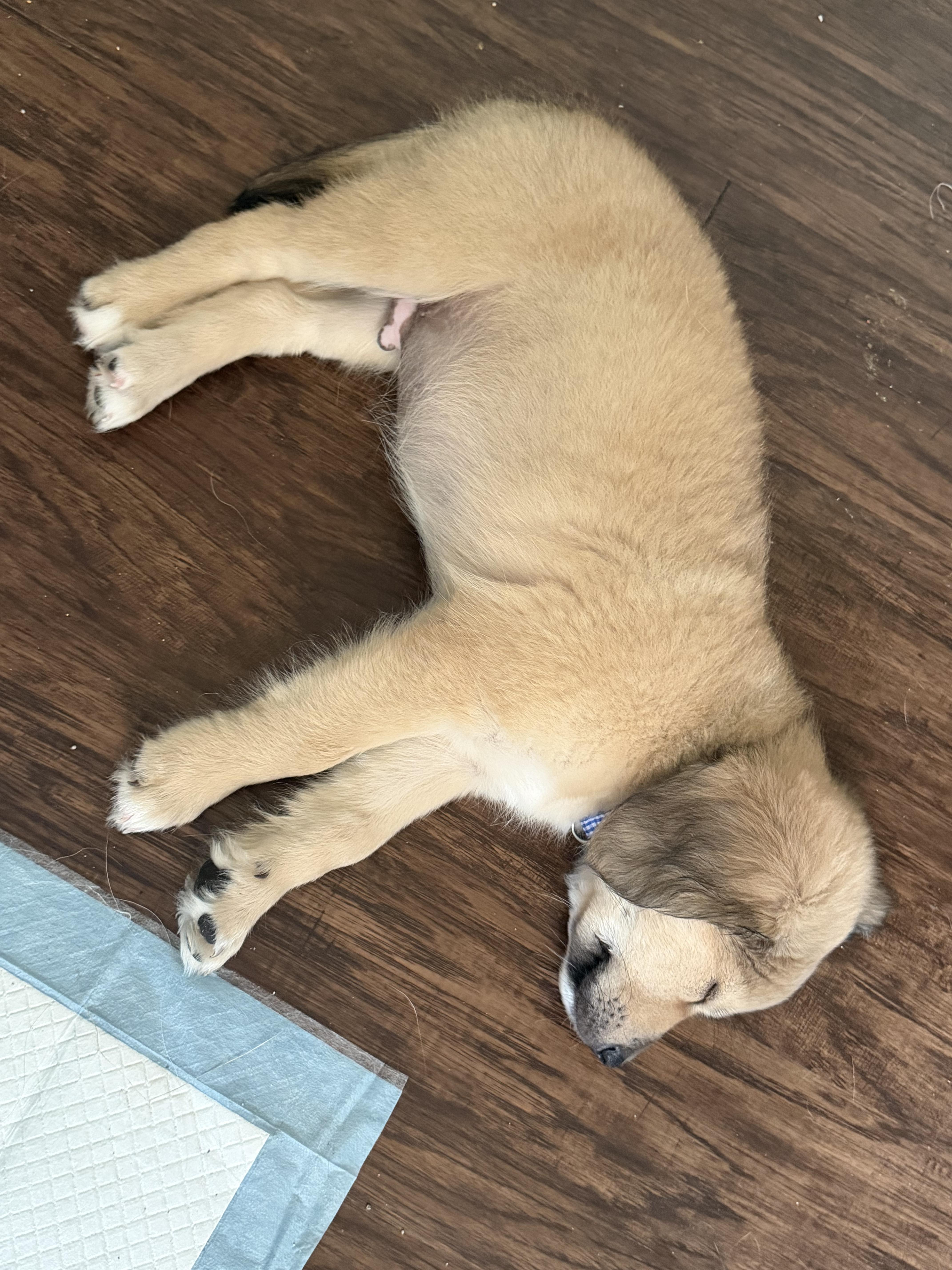 Hamilton thumbnail 2