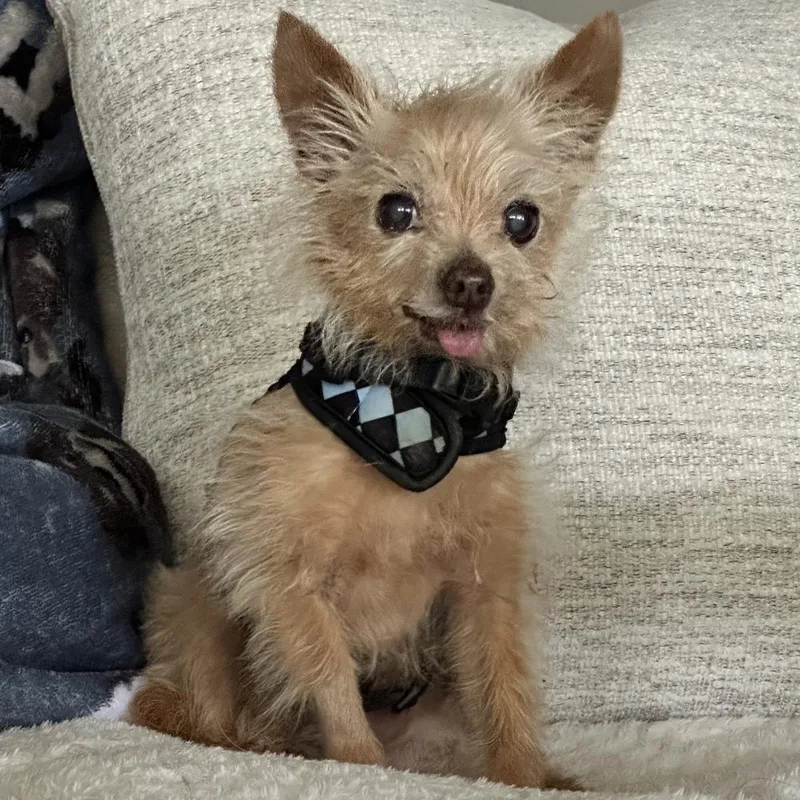 Bobby