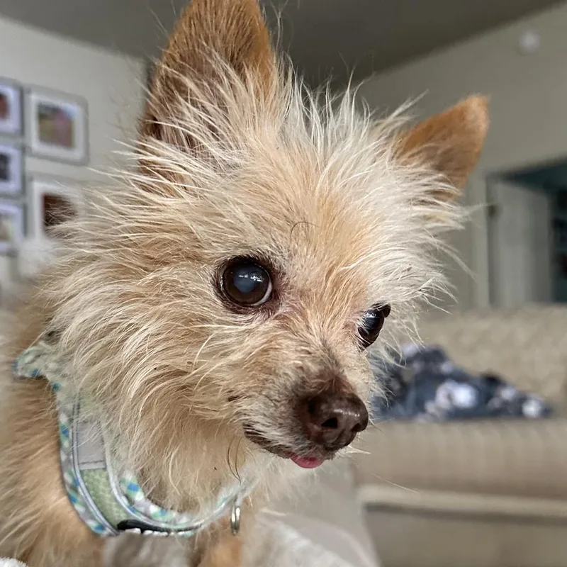 Bobby thumbnail 5
