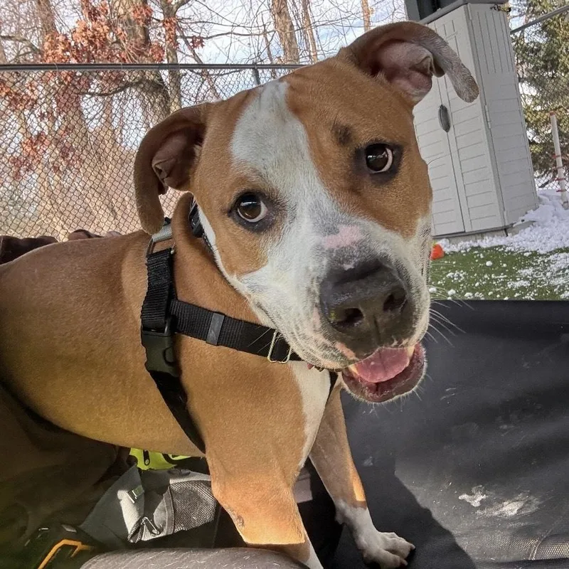 Stan Lee thumbnail 2