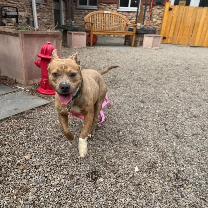 Dr. Mel King thumbnail 4