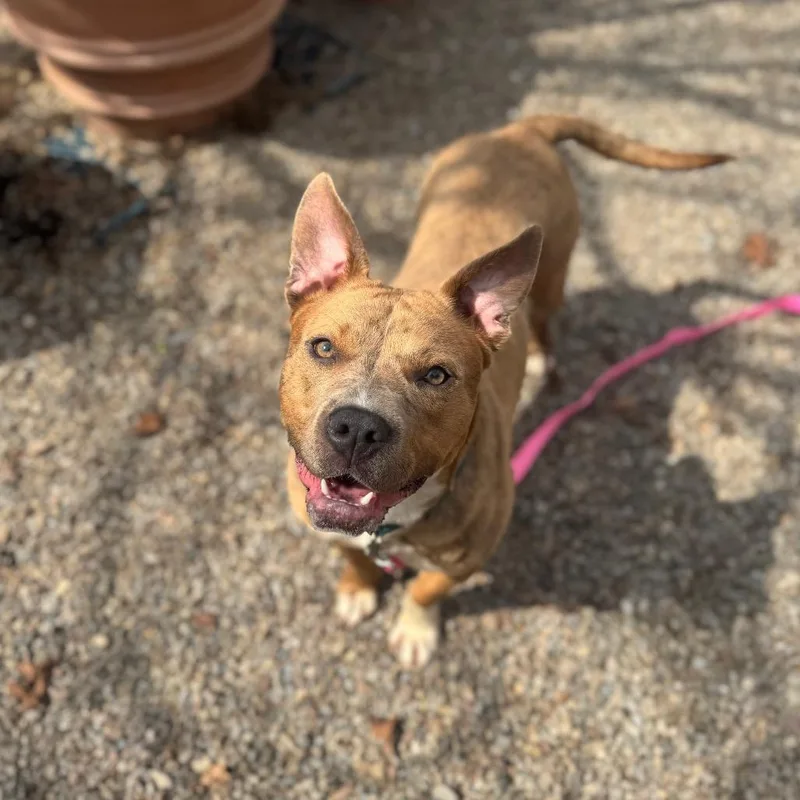 Dr. Mel King thumbnail 5