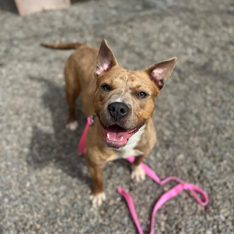 Dr. Mel King thumbnail 6