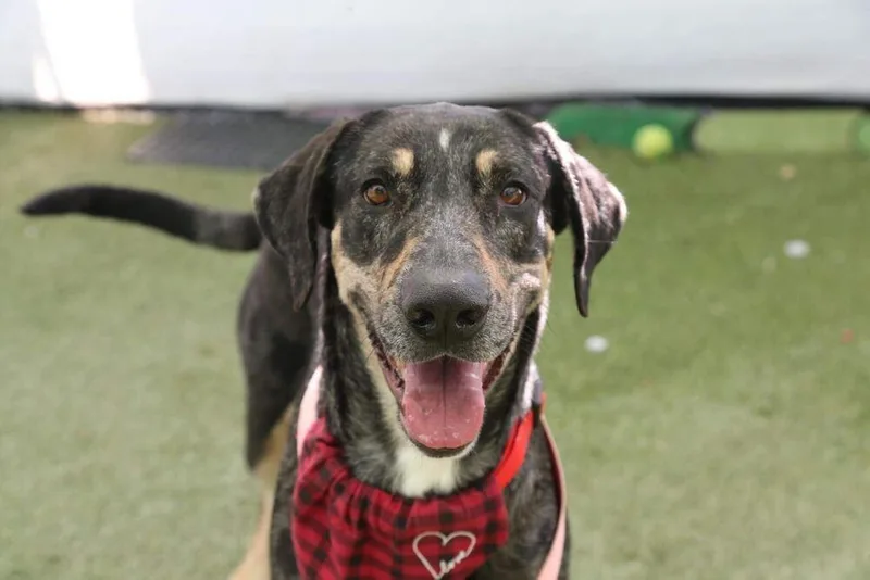 Mama Minnow thumbnail 2