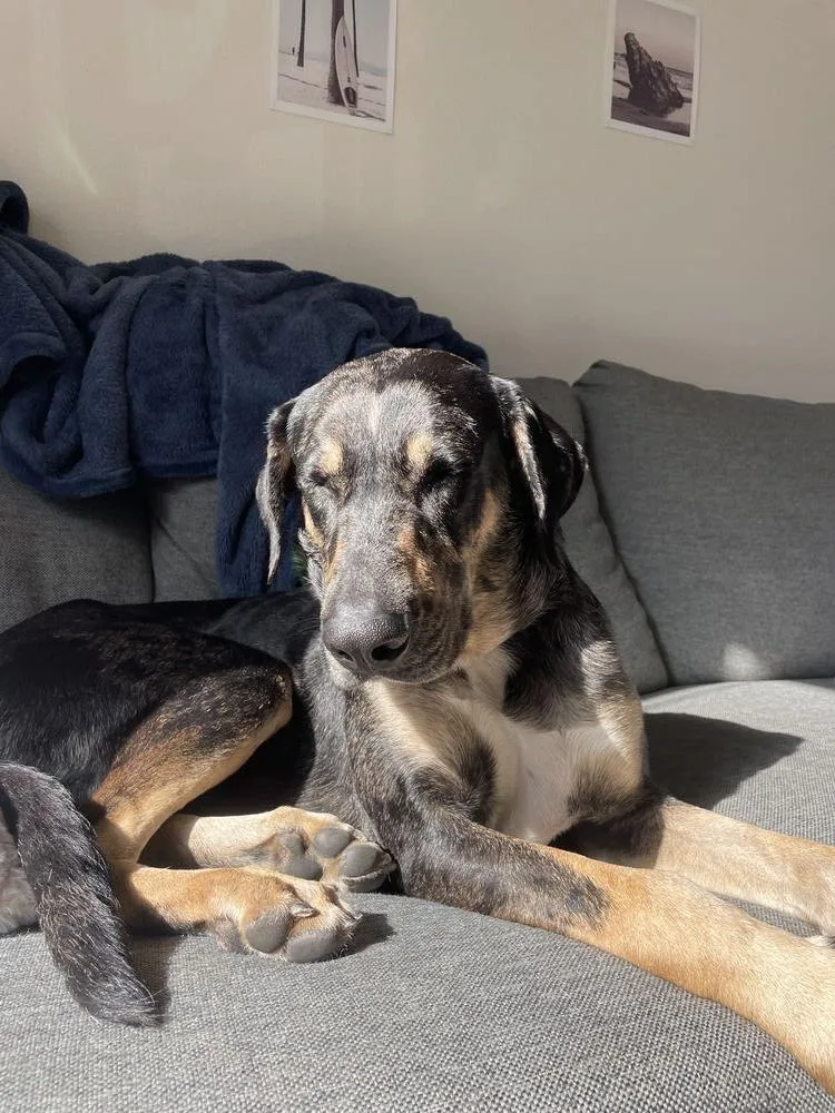 Mama Minnow thumbnail 3