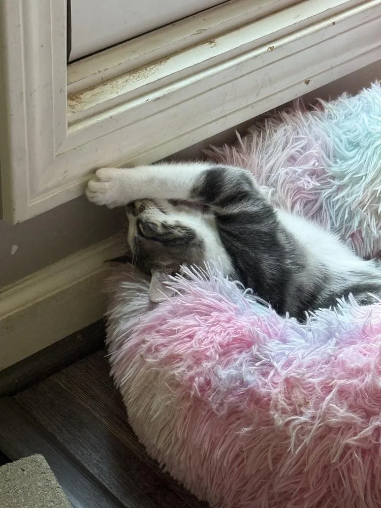 Emerald thumbnail 2
