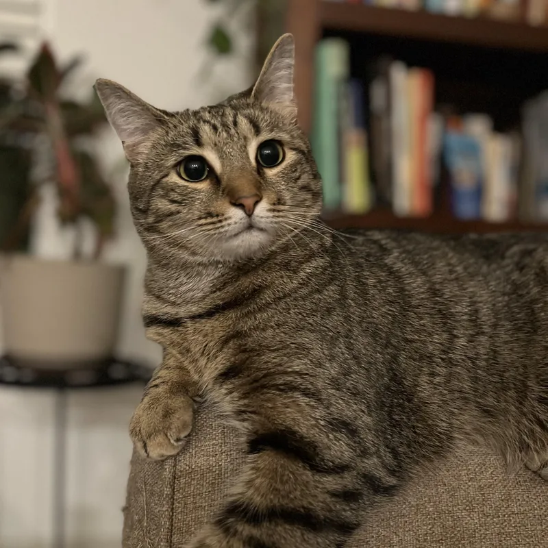 Jeb & Daisy Mae thumbnail 3