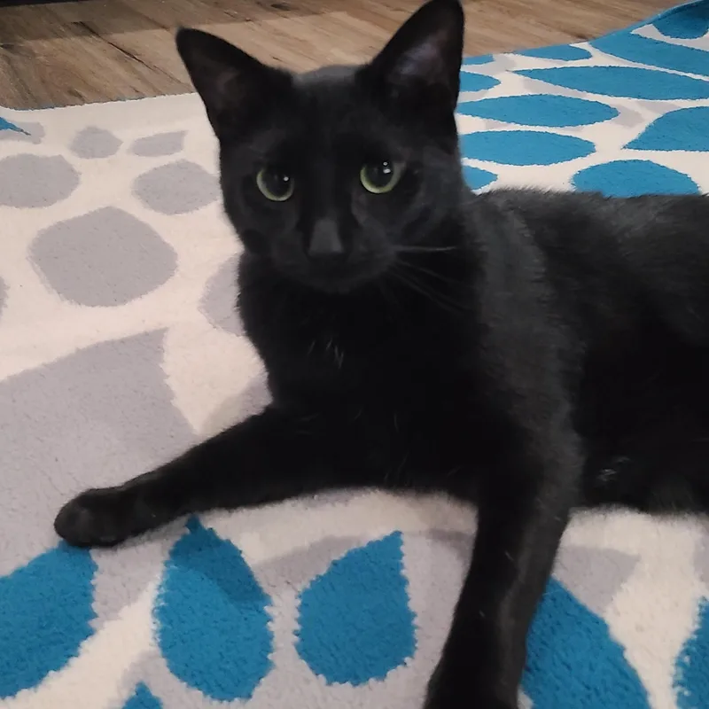 Jeb & Daisy Mae thumbnail 4