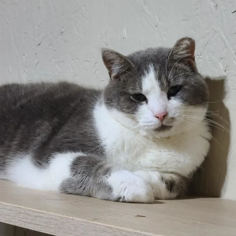 Solstice >>the World’s Most thumbnail 2