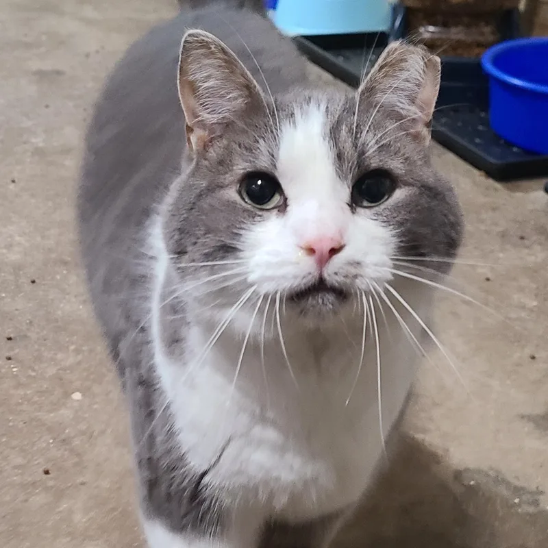 Solstice >>the World’s Most thumbnail 3