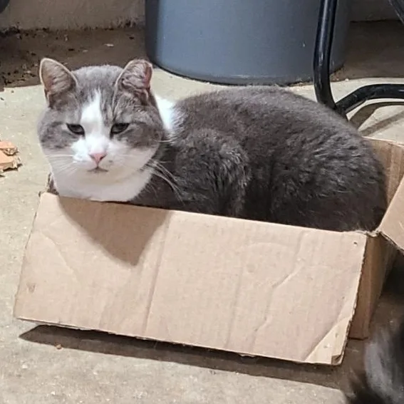 Solstice >>the World’s Most thumbnail 4