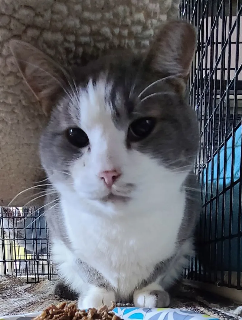 Solstice >>the World’s Most thumbnail 5