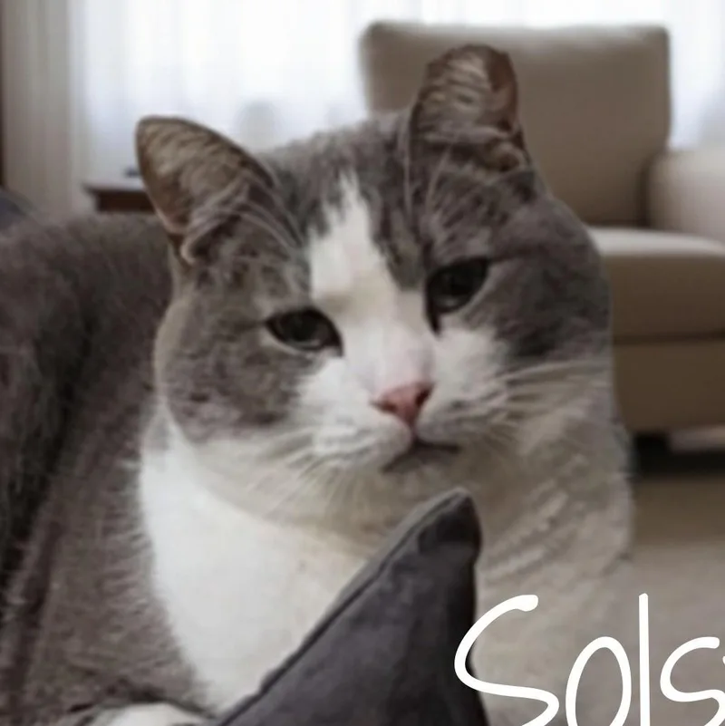 Solstice >>the World’s Most