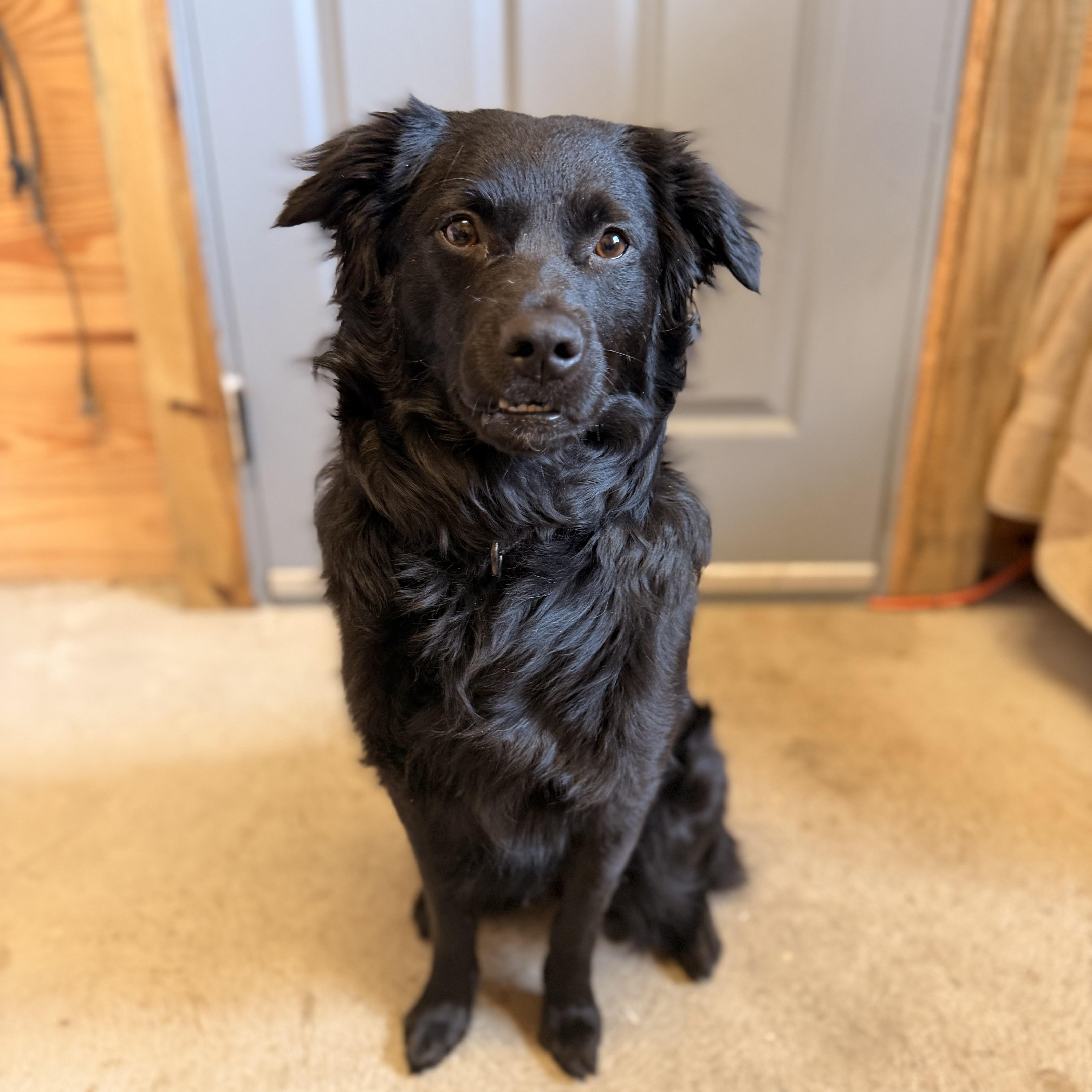 Osito Little Bear thumbnail 3