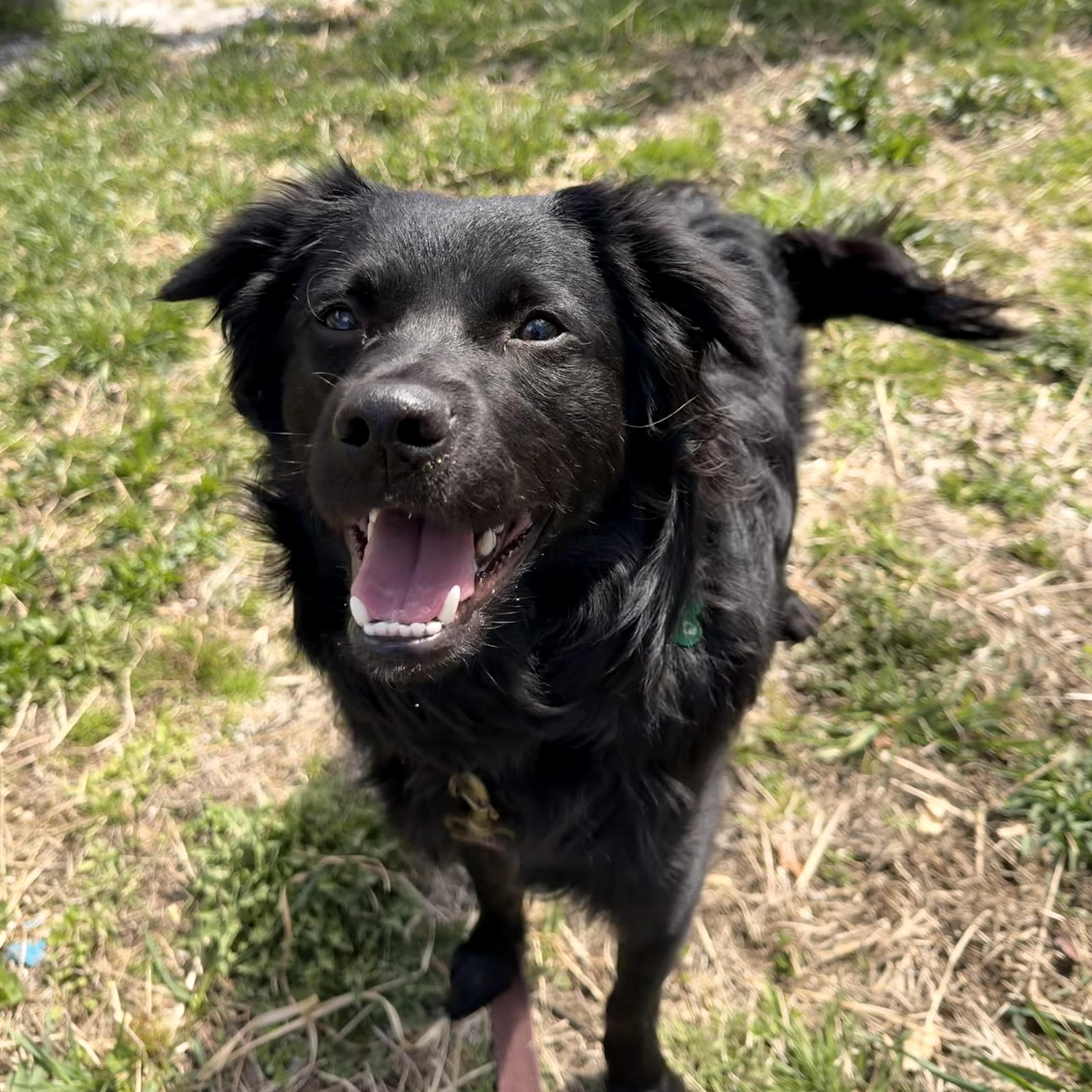 Osito Little Bear thumbnail 4