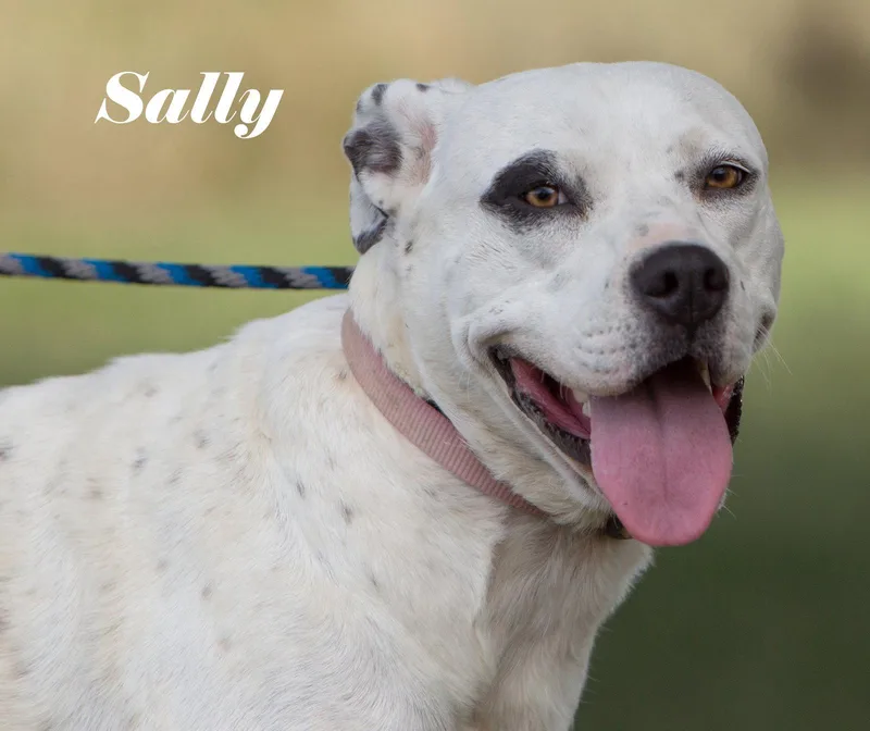 Sally thumbnail 2