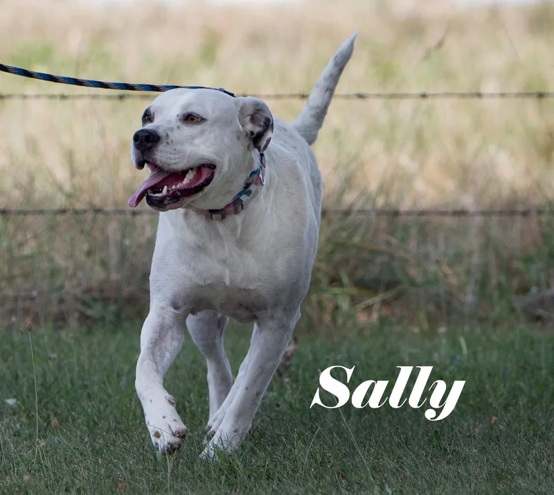 Sally thumbnail 3