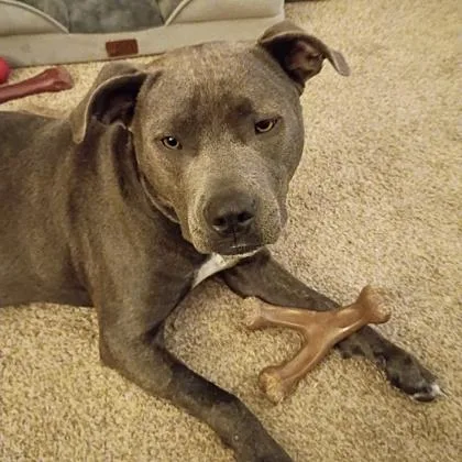 Daisy Mae thumbnail 3