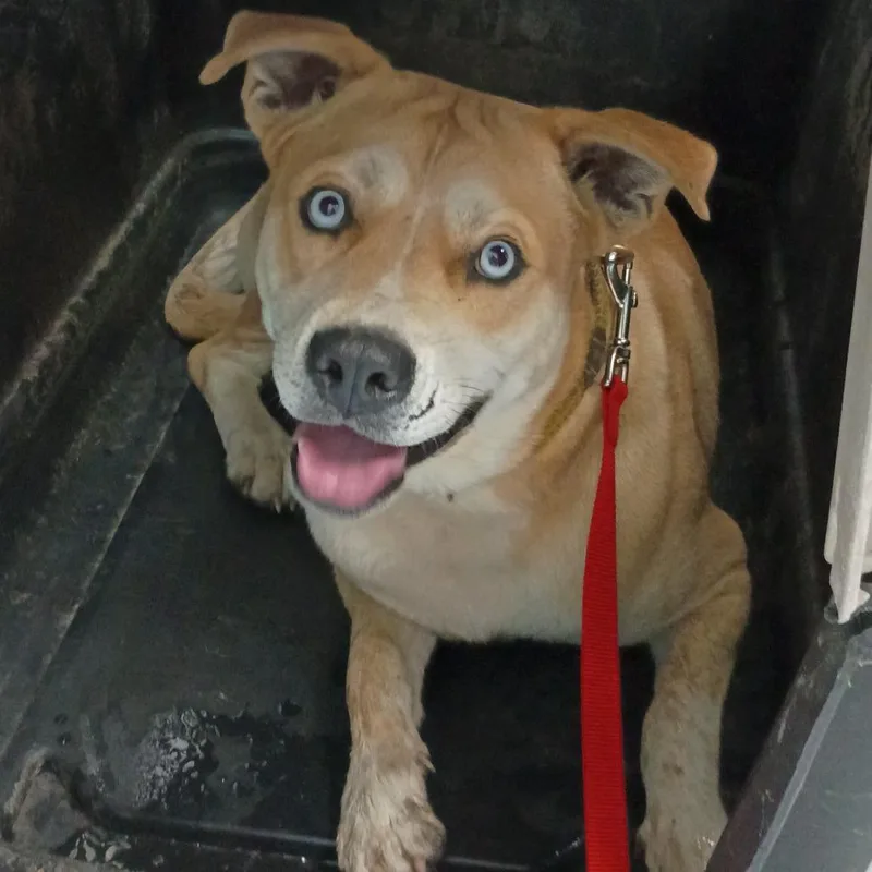 Sullivan D thumbnail 2