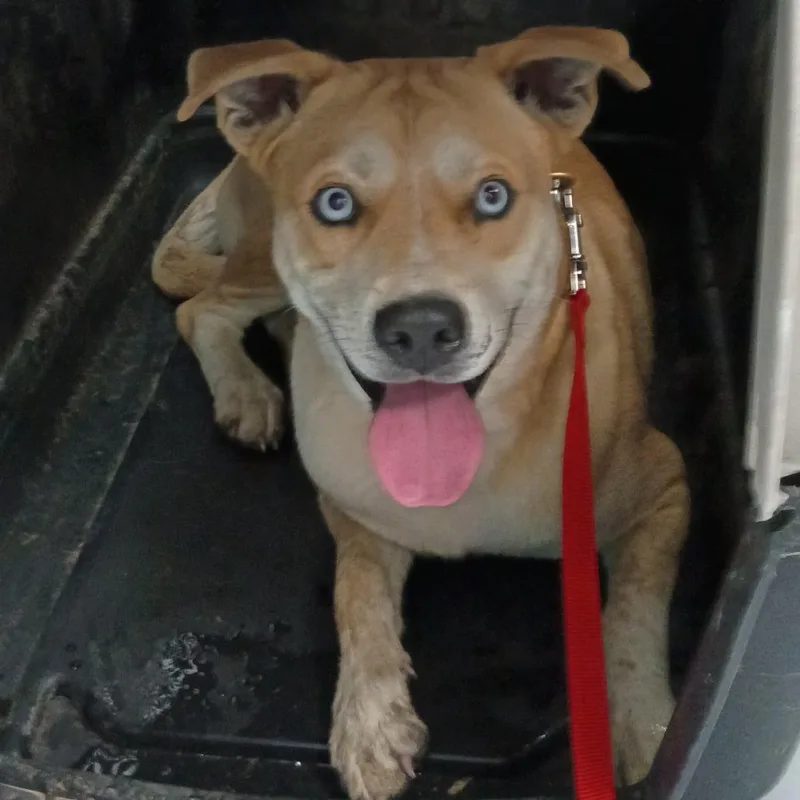 Sullivan D thumbnail 4