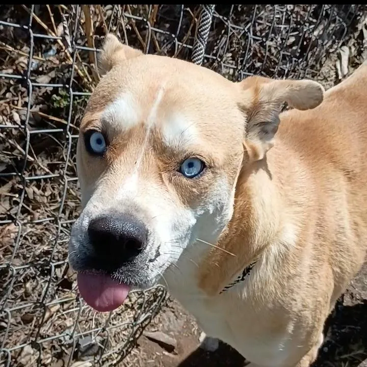 Sullivan D thumbnail 5