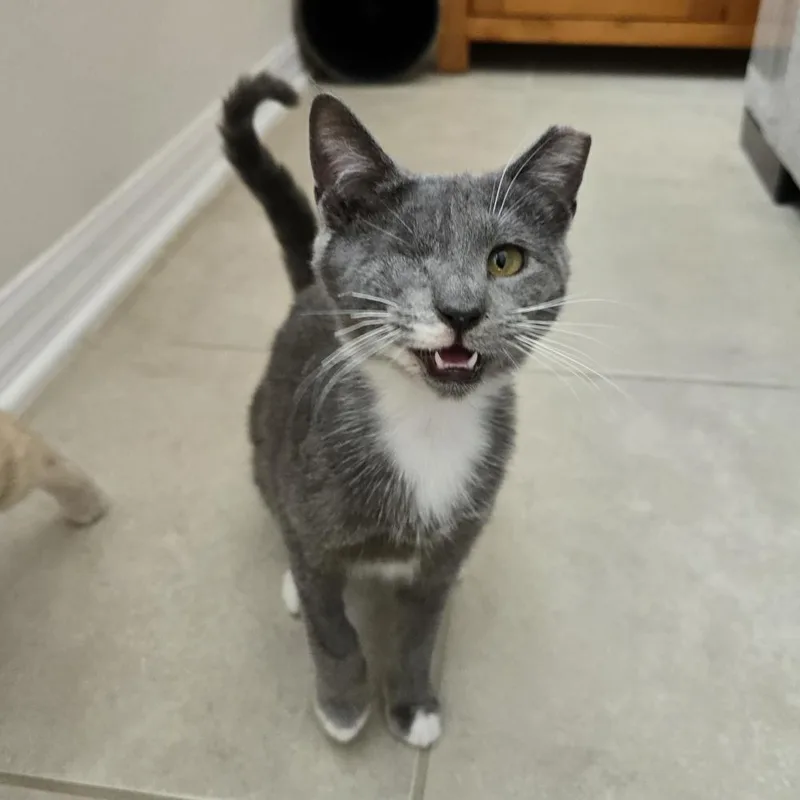 Claudia Jean thumbnail 2